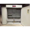 Solar eggs incubator 1056 chicken eggs incubation equipment